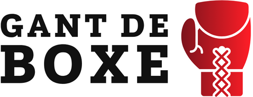 Gant De Boxe 